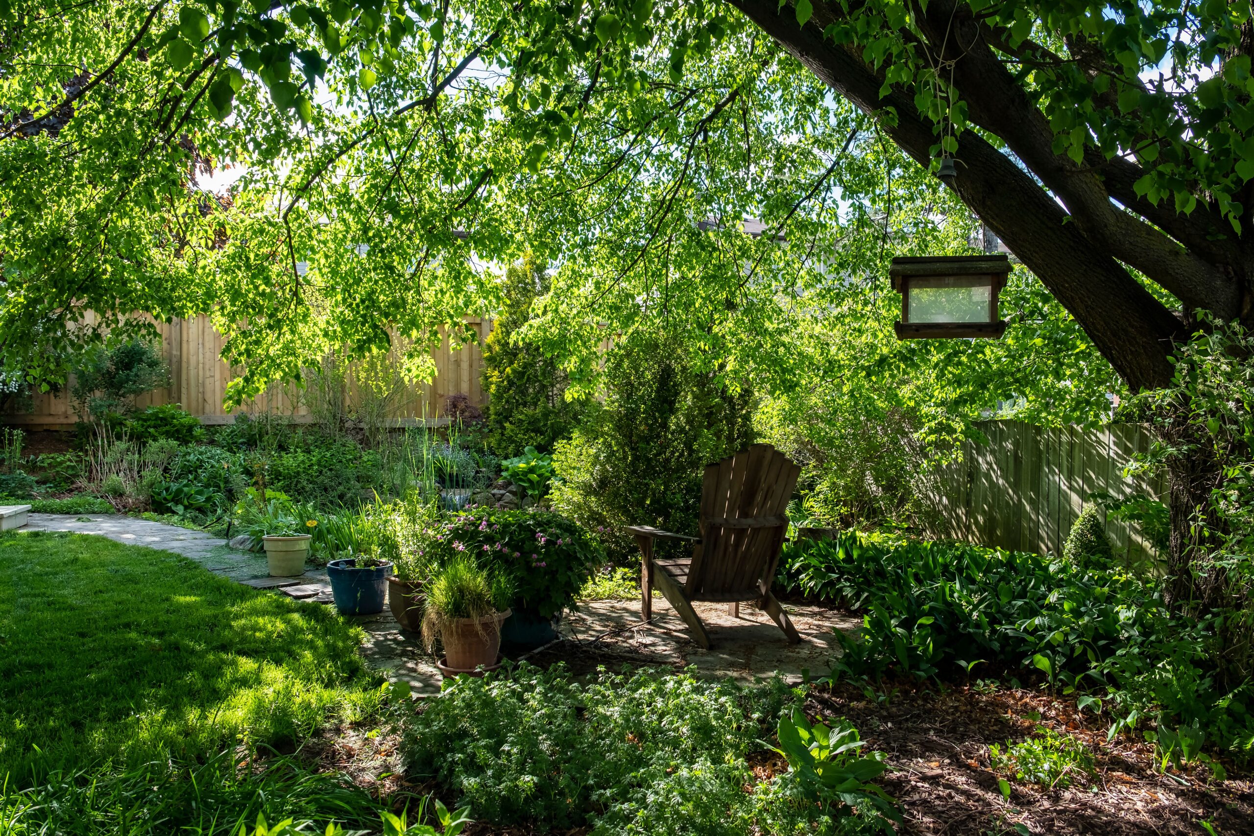 Tips for Creating a Beautiful Garden Oasis