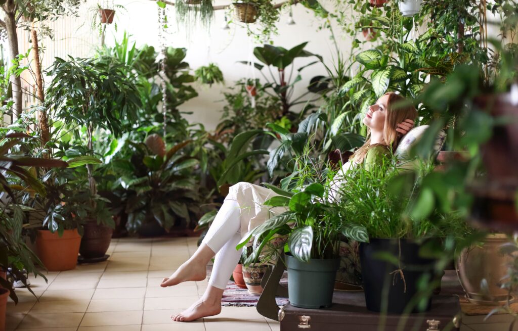 How to Take Care of Indoor Plants Without Sunlight