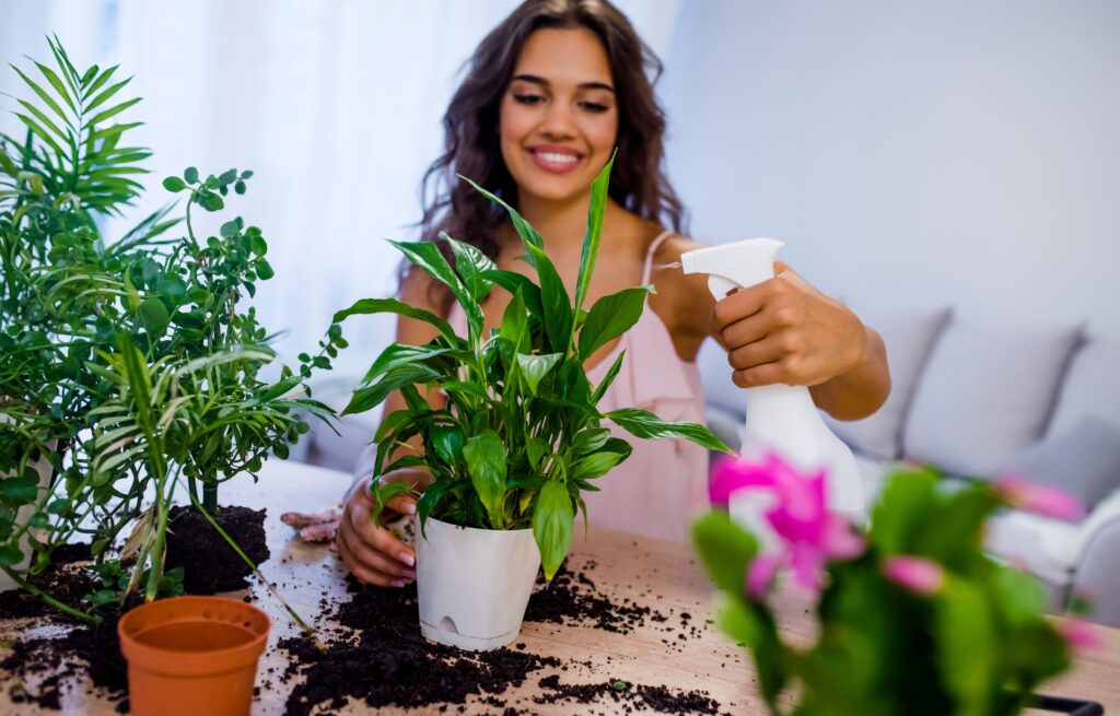 Indoor Plant Care Essentials